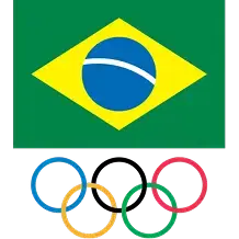 brasil flag