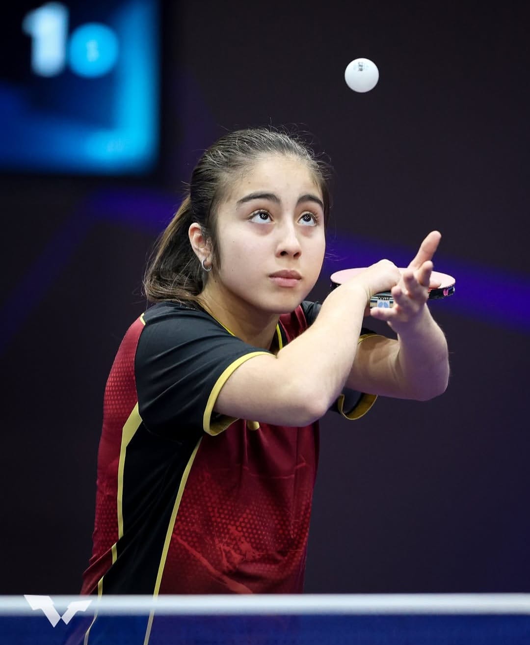 Abanderados de Chile en los IV Juegos Suramericanos de la Juventud Panamá 2026  