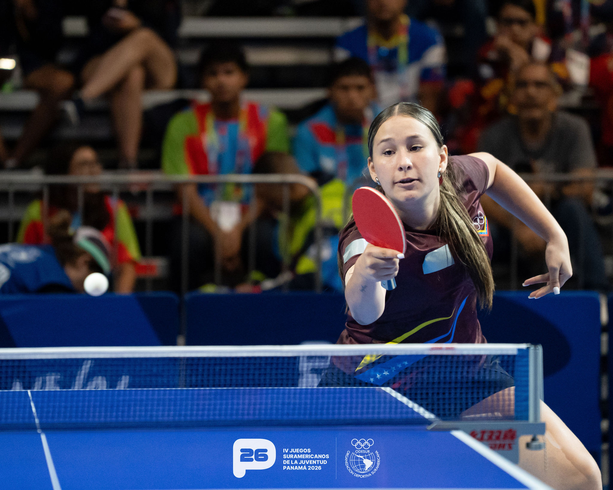 Venezuela y Colombia se colgaron el oro en Tenis de Mesa